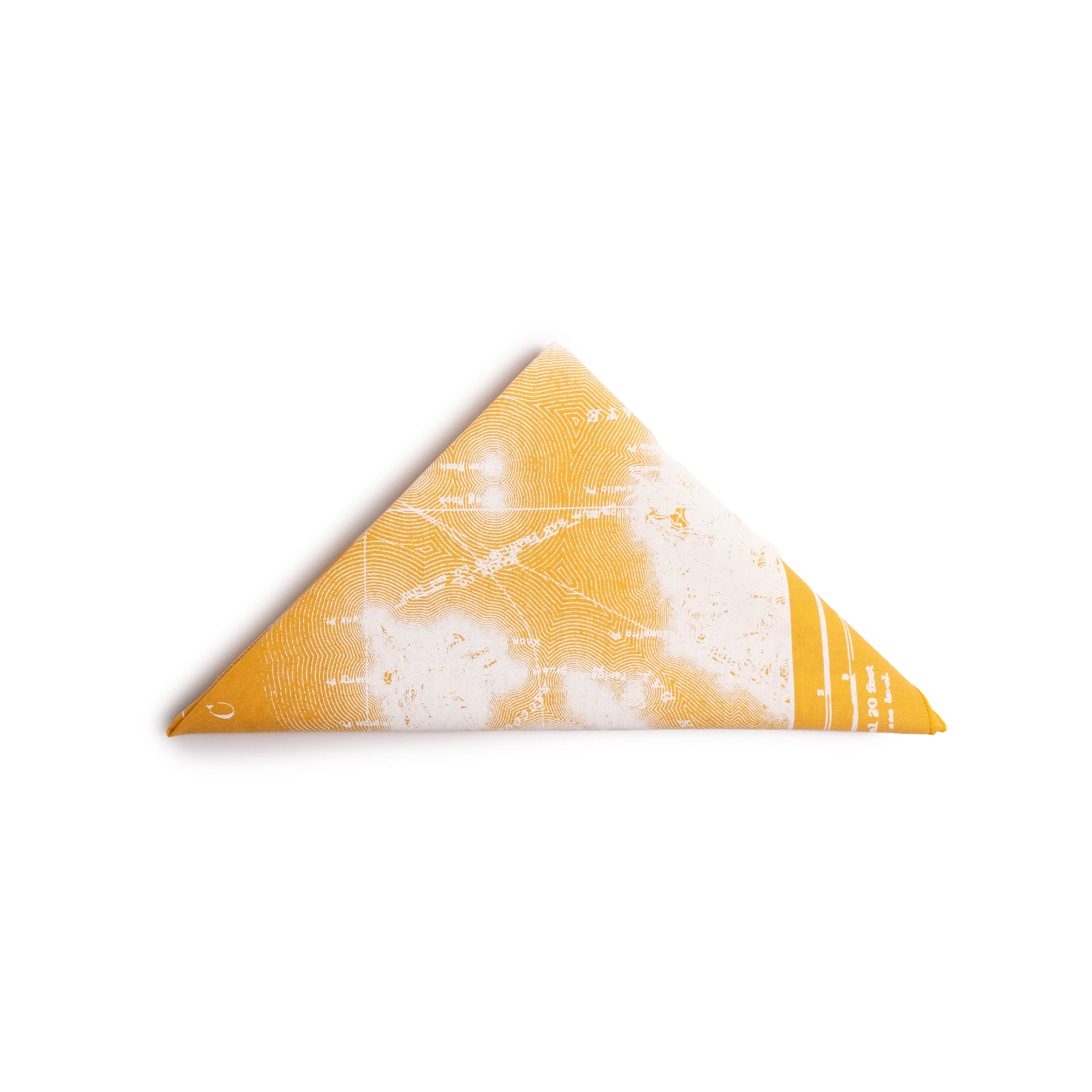 Topo Designs x Pine Printshop Local Bandana - Image 14